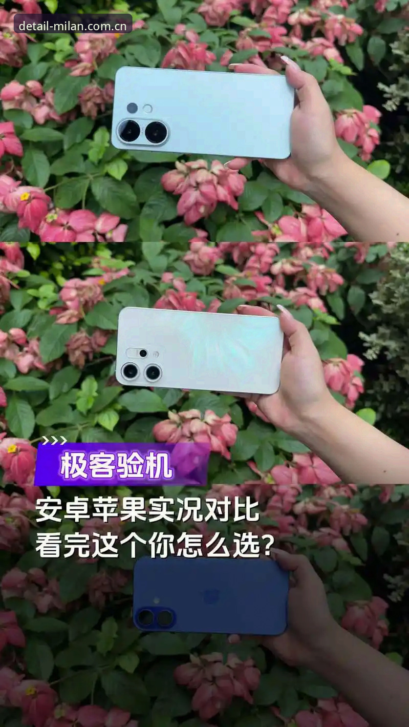 质感生于细节数据同步 揭秘质感生于细节数据同步的真相:安卓苹果双端数据不丢的秘诀